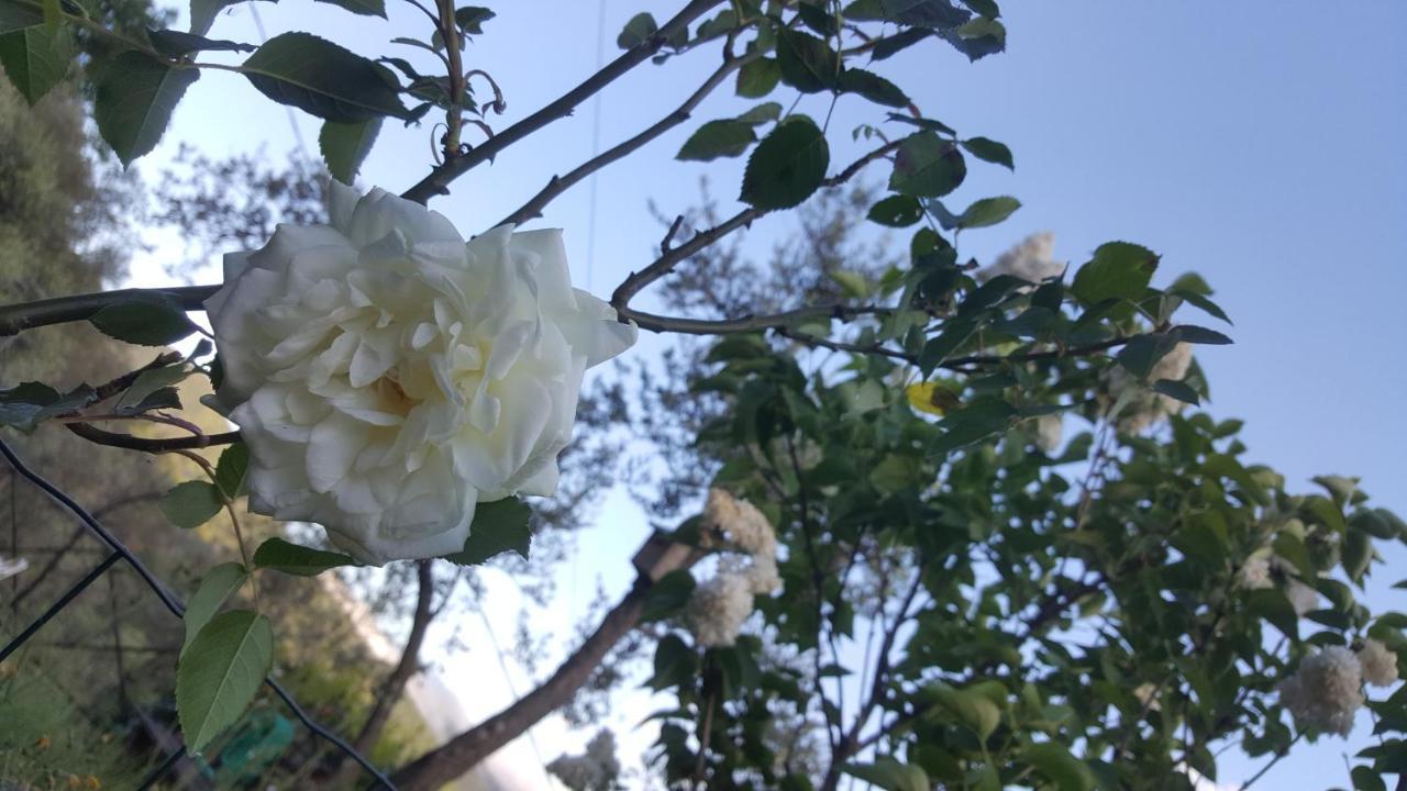 Rifugio Valentina Villa Uscio Dış mekan fotoğraf